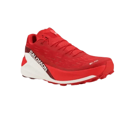 Salomon S/Lab Pulsar 4