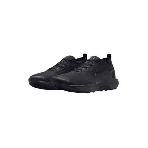 Nike ACG Pegasus Trail, chaussure polyvalente pour route et sentiers